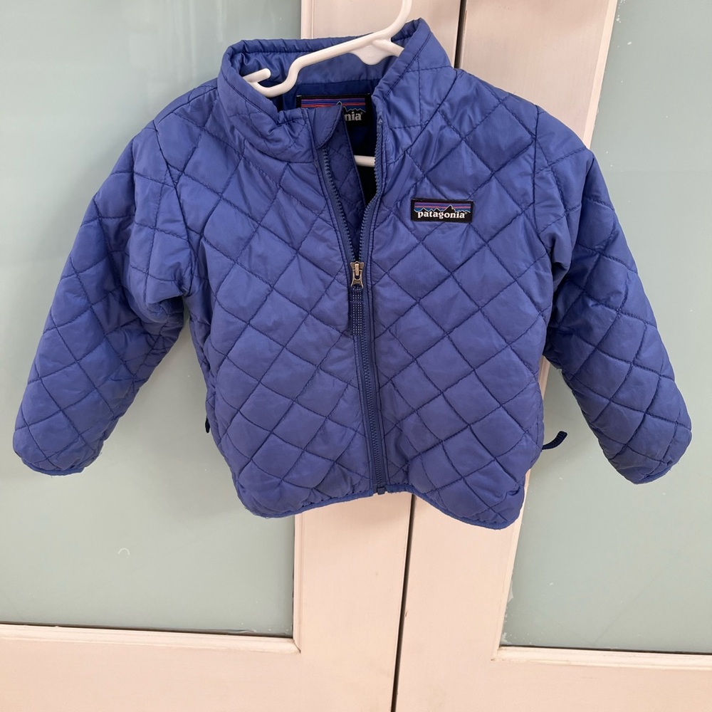 Patagonia Vibrant Blue Quilted Jacket